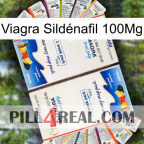 Viagra Sildénafil 100Mg kamagra1